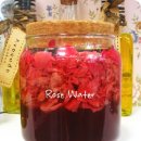 인퓨즈드 이미지