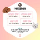 편안한 동물병원 이미지