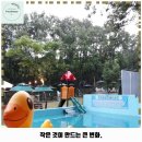 포시즌주유소 이미지