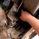 용염소농장 이미지