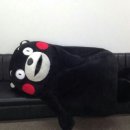 하한 이미지