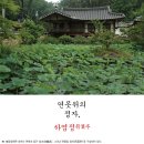 연못위