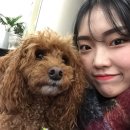 태자미용실 이미지
