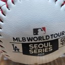 (유)스카이 투어 이미지