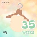 [35-38주] 임신일기 최종_최최종_진짜지짜최종 (막달임산부/ 미래와희망 선택제왕/ 태동검사/ 막달검사)