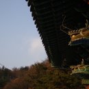 보명사 이미지