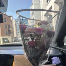 아리따운펜션 | 숙소) - 다랭이마을 | 구미동해변 | 벚꽃길지나서펜션 | 상주은모래비치 | 보리암 | 독일마을 | 이제남해
