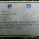 풍깡 이미지