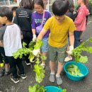 장안청소년문화의집 이미지