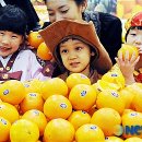 한국스마일마트 이미지