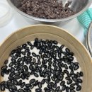 콩시루 티스토리