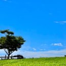 대열농장 이미지