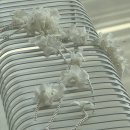 셀프웨딩, 드레스대여, 웨딩스튜디오 아이폰스냅 촬영 후기 / 오아드레스 Oaa Dress