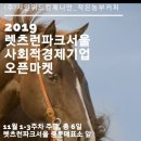 (주)샤인위드컴페니언 이미지