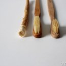 이미지치과의원 네이버블로그