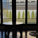 🏡스테이로이 / 대전 여행 숙소 추천 / 대전 감성 숙소 / 금산 감성 숙소