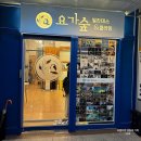 숲플라잉요가 | 대전 관평동 요가숲 플라잉 요가 & 필라테스 후기