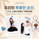 예쁜사진찍는집 | 울산 반려동물 사진 잘 찍는 곳, 오콰스튜디오 펫촬영 후기
