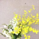 서초삼성부속치과의원 이미지