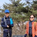 대야리산 Daum카페