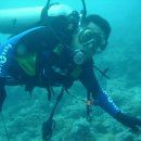 바다속이야기 이미지