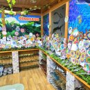 든해솔유치원 이미지