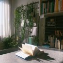 서점숙소 이미지