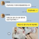 이레동물병원 이미지