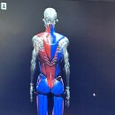 CNC 운동재활ㆍ피트니스 센터 이미지