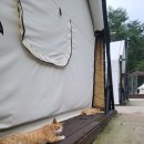 헬로우힐연인산캠핑장 이미지