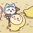 080 수신 거부 전화로 하고있는데 이미지