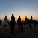 탑(TOP) 승마클럽 이미지