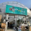 매화다육