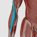 PT특별관 이미지