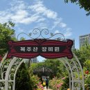 문화체육센터 1층 | 서대문구 장미명소 북아현문화체육센터 복주산장미원