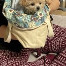 이시아동물병원 이미지