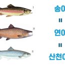 송어의집 이미지