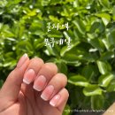 모쿠, 또 모쿠 | [군자역] 프리미엄 통젤전문 꼼꼼한 군자역 네일 &#39;모쿠네일&#39; 후기