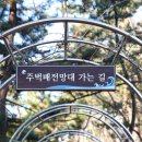 주벅배 전망대 화장실 이미지