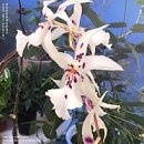 A240 | Redoor 단독 콘서트 <Feathers> 20251228 후기