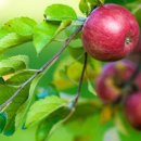 우경농장 이미지