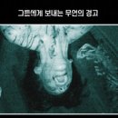 엔티티