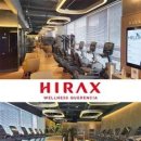 하이랙스 이미지