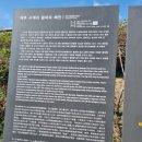 제주 사계리 용머리 화산쇄설층 이미지