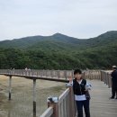구월생