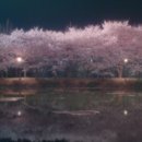주원민박