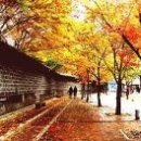 그대그리고나 이미지