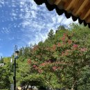 장수도깨비한옥&글램핑 이미지