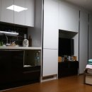 법환동-11 이미지