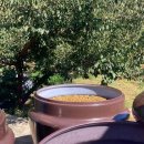 지리산 농가민박 이미지